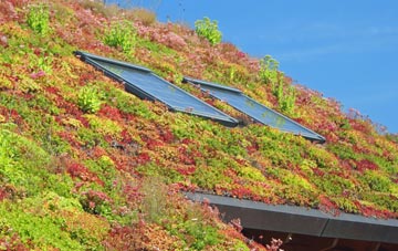 Kilduncan living roof systems