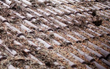 Kilduncan roof cleaning companies