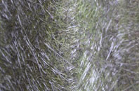 Kilduncan fibreglass roof work